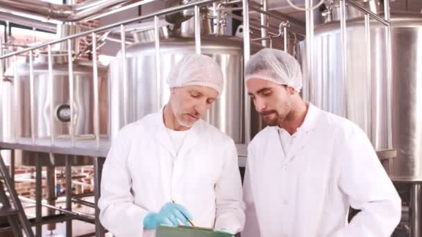 Bryggeriet arbetstagare arbetar tillsammans — Stockvideo