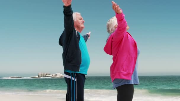 Velho casal aposentado fazendo algum alongamento — Vídeo de Stock