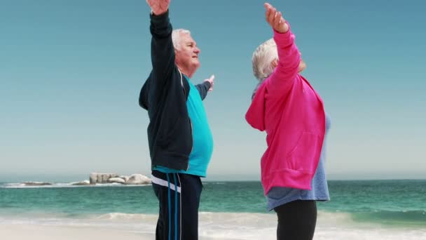 Old retired couple doing some stretching — 비디오