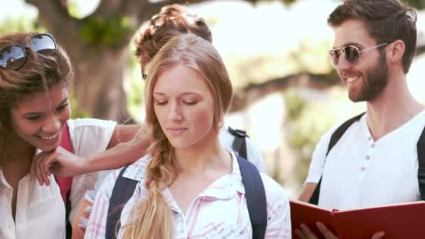 Mujer hipster concentrada leyendo libro — Vídeo de stock