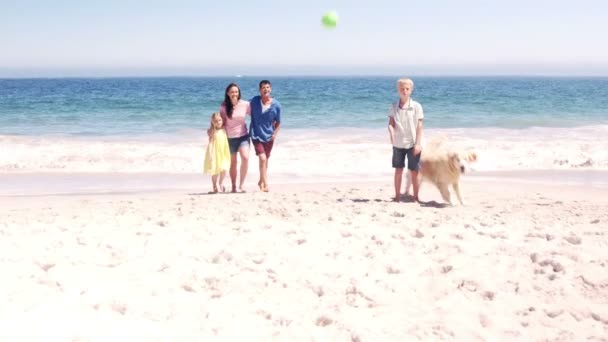Мила сім'я грає м'яч з собакою — стокове відео