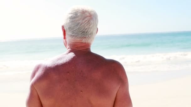 Rear view of a retired man — Stockvideo