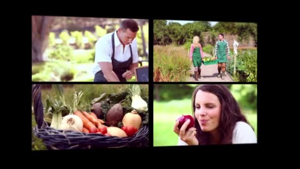 Ekologisk mat med människor som har ett hälsosamt liv — Stockvideo