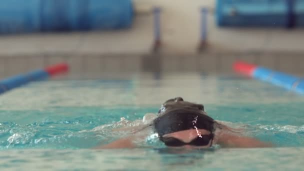 Uomo in forma nuotare in piscina — Video Stock