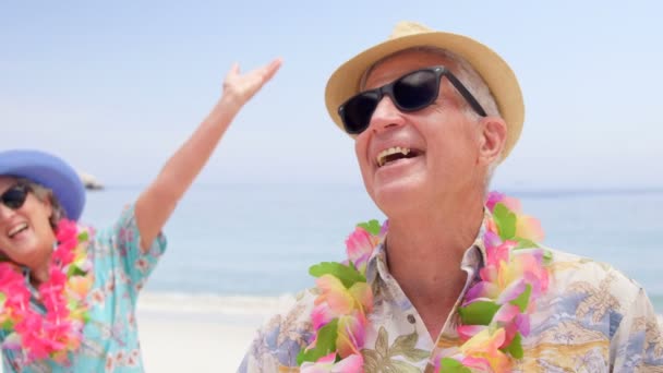 Casal aposentado rindo na praia — Vídeo de Stock