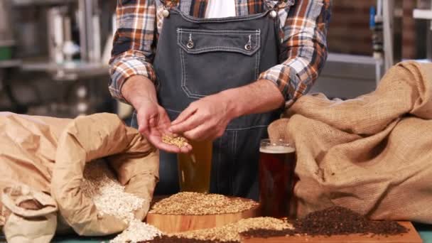 Brauerei-Mitarbeiter überprüft das Produkt — Stockvideo