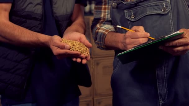 Lavoratori birrifici che controllano i cereali da forno — Video Stock