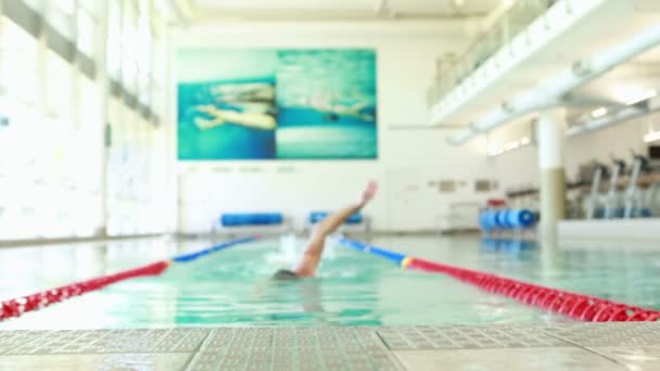 Ταιριάζει άνθρωπος κολύμπι στην πισίνα — Αρχείο Βίντεο