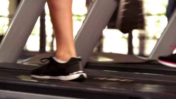 Fitte Menschen laufen auf Laufbändern — Stockvideo