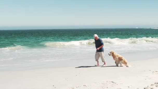 Viejo jubilado corriendo con perro — Vídeo de stock