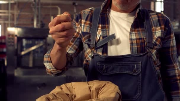 Работник пивоваренного завода разливает зерно хмеля — стоковое видео