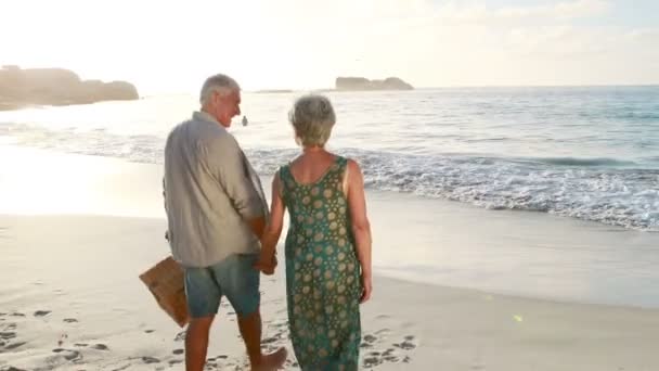 Pareja vieja jubilada sosteniendo bolsa de picnic — Vídeo de stock