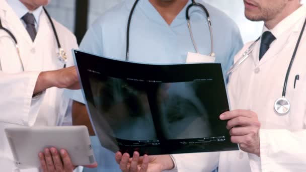 Médicos hablando juntos mientras buscan rayos X — Vídeo de stock