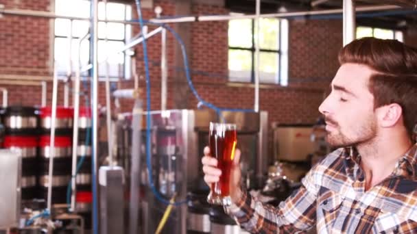ビール醸造所の労働者製品をチェック — ストック動画