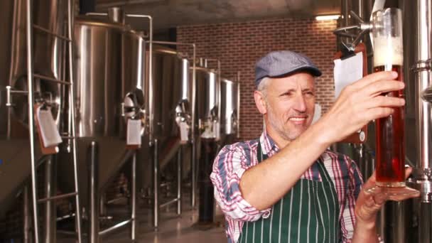 Trabalhador da cervejaria verificando o produto — Vídeo de Stock