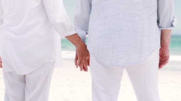 Old retired couple embracing each other — Wideo stockowe