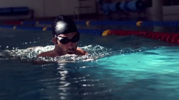 Fit homme nageant dans la piscine — Video