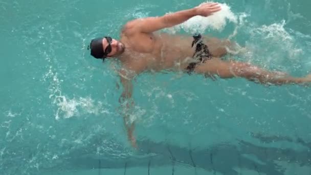 Fit hombre nadando en la piscina — Vídeos de Stock