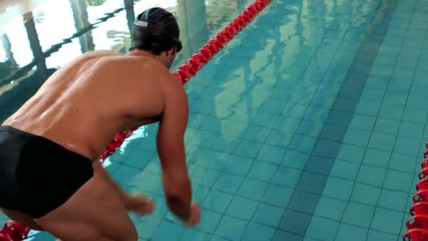 Passar man dykning i poolen — Stockvideo