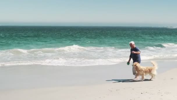 Velho homem aposentado brincando com o cão — Vídeo de Stock