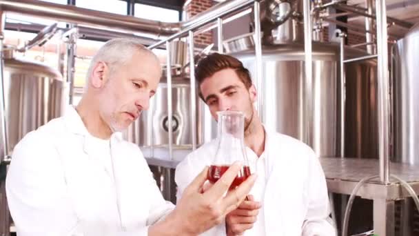 Two men looking at the beaker with beer — Stock Video