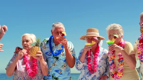 Senior vrienden drinken van cocktails — Stockvideo