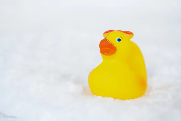 Canard jaune sur serviette blanche — Photo