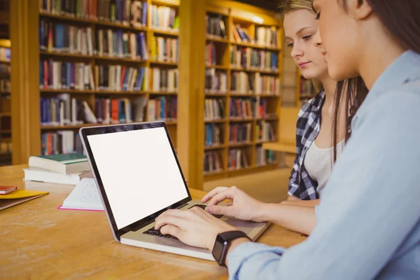 Serious students using laptop — Stock Photo, Image