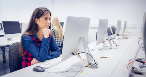 Seriös student arbetar på dator — Stockfoto