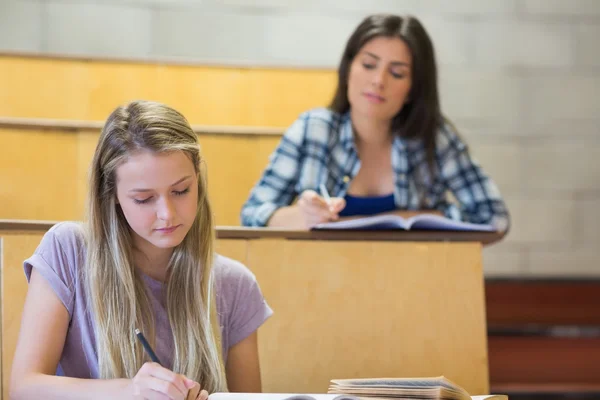 Studenten sitzen nebeneinander — Stockfoto