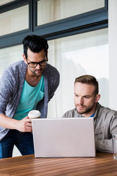 Focalizzato gay coppia utilizzando laptop — Foto Stock