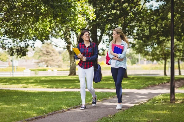 Studenti sorridenti che tengono il raccoglitore — Foto Stock