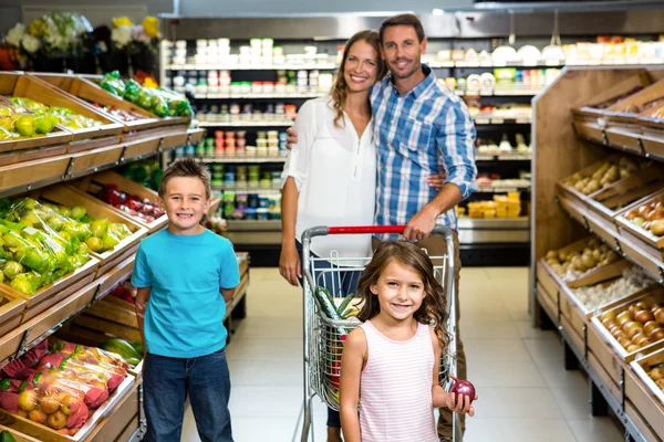 Family doing shopping — Stock Photo, Image