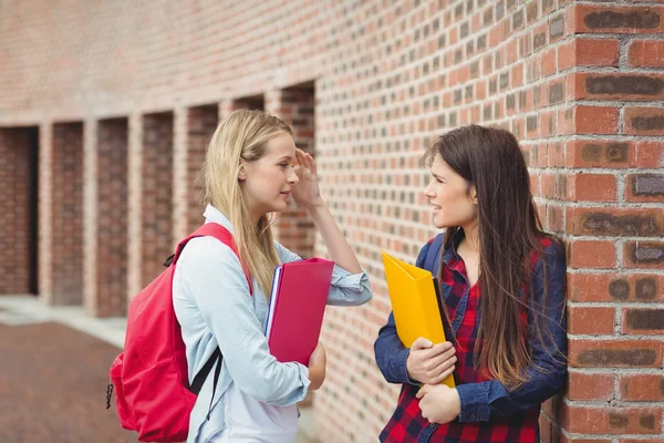 Studenti sorridenti che parlano all'aperto — Foto Stock