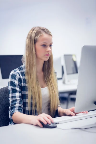 Seriös student arbetar på dator — Stockfoto