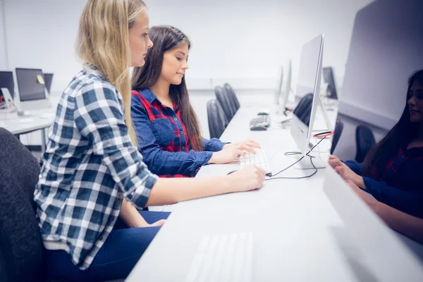 Estudiantes concentrados usando computadora — Foto de Stock