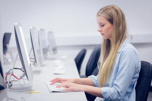 Koncentrovaná student pracuje na počítači — Stock fotografie