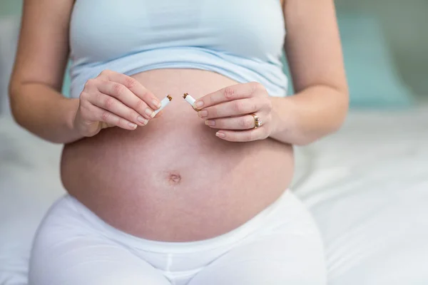 Schwangere schneidet sich eine Zigarette — Stockfoto