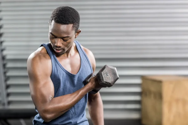 Portrait of fit man lifting dumbbells — Stock Photo, Image