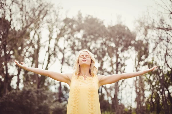 Gelukkige vrouw met wapens aan de orde gesteld — Stockfoto