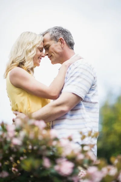 Feliz pareja abrazándose — Foto de Stock