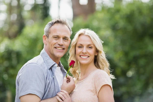 Муж, предлагающий розу жене — стоковое фото