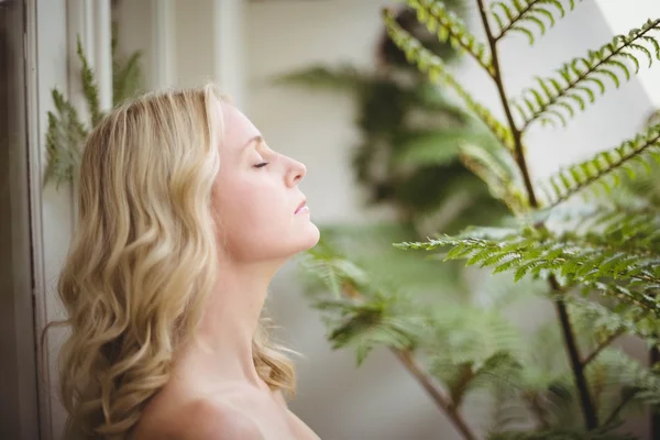 Belle femme sentant les feuilles — Photo