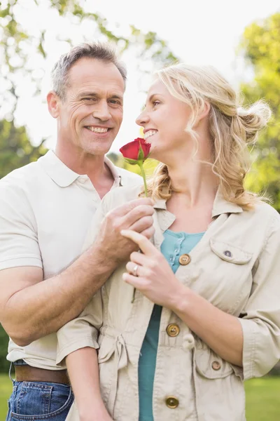 Marido oferecendo uma rosa para a esposa — Fotografia de Stock