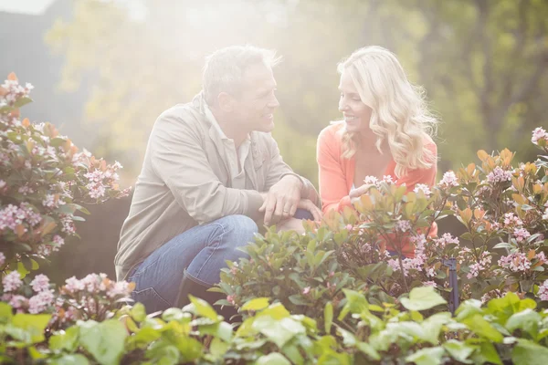 Roztomilý pár, dívat se na květiny — Stock fotografie