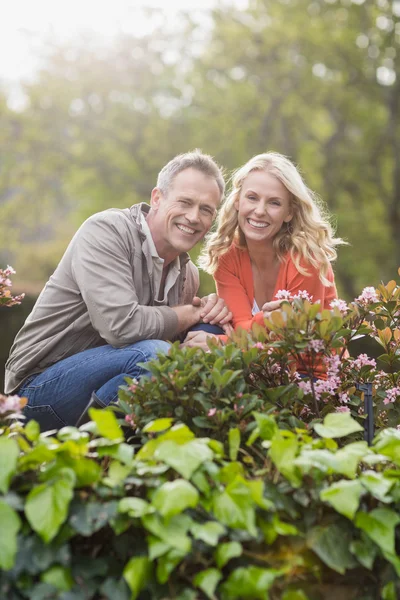 Couple mignon regardant des fleurs — Photo