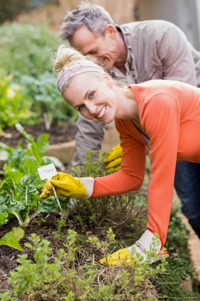 Couple mignon faisant du jardinage — Photo