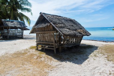 Palmiye ağacı ve sahil