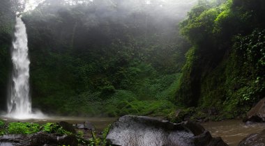 Bali, büyük şelale güzel doğa
