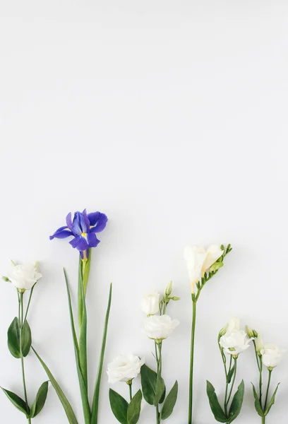 Arranjo Criativo Com Flores Brancas Folhas Verdes Com Espaço Cópia Imagem De Stock